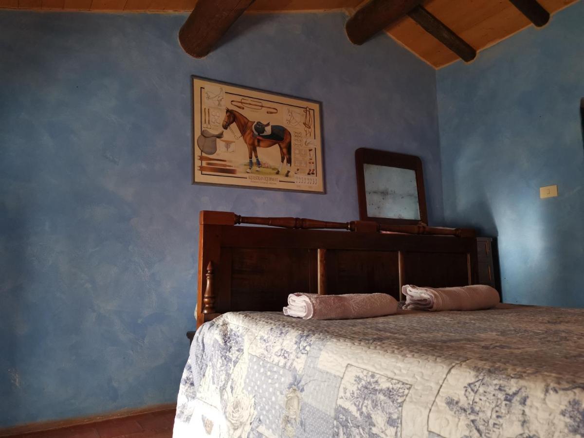 Daina Bianca Bed & Breakfast Solignano Luaran gambar